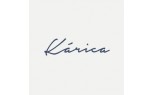 Kárica