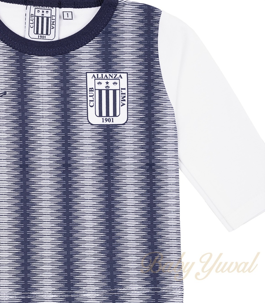 PSIMG:2702:11077:V:6003