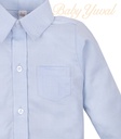PSIMG:2953:11993:T