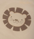 PSIMG:2970:12077:T